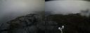 ./images/calvert/buxton2/20200502/buxton220200502_173502M.jpg
