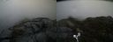 ./images/calvert/buxton2/20200502/buxton220200502_175502M.jpg