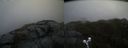 ./images/calvert/buxton2/20200502/buxton220200502_182503M.jpg