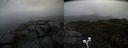 ./images/calvert/buxton2/20200503/buxton220200503_092003M.jpg