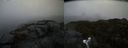 ./images/calvert/buxton2/20200503/buxton220200503_104003M.jpg