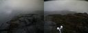 ./images/calvert/buxton2/20200503/buxton220200503_112503M.jpg