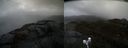 ./images/calvert/buxton2/20200503/buxton220200503_144002M.jpg