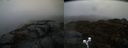 ./images/calvert/buxton2/20200503/buxton220200503_145502M.jpg