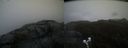 ./images/calvert/buxton2/20200506/buxton220200506_064503M.jpg