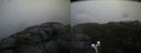 ./images/calvert/buxton2/20200506/buxton220200506_070502M.jpg