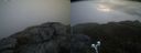 ./images/calvert/buxton2/20200513/buxton220200513_061003M.jpg