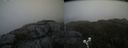 ./images/calvert/buxton2/20200514/buxton220200514_121002M.jpg