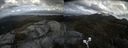 ./images/calvert/buxton2/20200515/buxton220200515_144003M.jpg