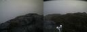 ./images/calvert/buxton2/20200517/buxton220200517_063502M.jpg