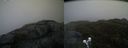 ./images/calvert/buxton2/20200517/buxton220200517_064002M.jpg