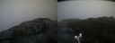 ./images/calvert/buxton2/20200517/buxton220200517_071002M.jpg