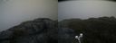 ./images/calvert/buxton2/20200517/buxton220200517_071503M.jpg