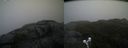 ./images/calvert/buxton2/20200517/buxton220200517_080503M.jpg