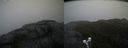 ./images/calvert/buxton2/20200517/buxton220200517_082003M.jpg