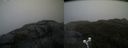 ./images/calvert/buxton2/20200517/buxton220200517_103502M.jpg