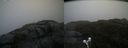 ./images/calvert/buxton2/20200517/buxton220200517_105002M.jpg