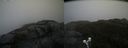 ./images/calvert/buxton2/20200517/buxton220200517_111002M.jpg