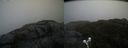 ./images/calvert/buxton2/20200517/buxton220200517_111502M.jpg