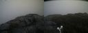 ./images/calvert/buxton2/20200517/buxton220200517_112002M.jpg