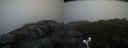 ./images/calvert/buxton2/20200517/buxton220200517_112502M.jpg