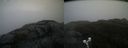 ./images/calvert/buxton2/20200517/buxton220200517_115003M.jpg