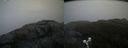 ./images/calvert/buxton2/20200517/buxton220200517_120003M.jpg