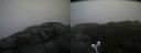 ./images/calvert/buxton2/20200517/buxton220200517_121003M.jpg