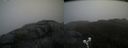 ./images/calvert/buxton2/20200517/buxton220200517_122003M.jpg