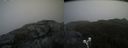 ./images/calvert/buxton2/20200517/buxton220200517_132002M.jpg