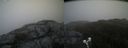 ./images/calvert/buxton2/20200517/buxton220200517_135502M.jpg