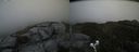 ./images/calvert/buxton2/20200519/buxton220200519_172003M.jpg