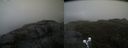 ./images/calvert/buxton2/20200520/buxton220200520_081502M.jpg