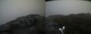 ./images/calvert/buxton2/20200520/buxton220200520_094502M.jpg