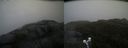 ./images/calvert/buxton2/20200520/buxton220200520_112503M.jpg