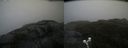 ./images/calvert/buxton2/20200520/buxton220200520_113503M.jpg