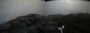./images/calvert/buxton2/20200520/buxton220200520_120503M.jpg