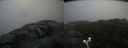 ./images/calvert/buxton2/20200520/buxton220200520_124002M.jpg