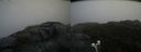 ./images/calvert/buxton2/20200520/buxton220200520_125502M.jpg