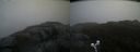 ./images/calvert/buxton2/20200520/buxton220200520_132502M.jpg
