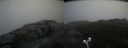 ./images/calvert/buxton2/20200520/buxton220200520_134002M.jpg
