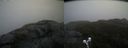 ./images/calvert/buxton2/20200520/buxton220200520_141003M.jpg