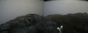 ./images/calvert/buxton2/20200520/buxton220200520_141503M.jpg