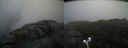 ./images/calvert/buxton2/20200520/buxton220200520_145502M.jpg