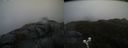 ./images/calvert/buxton2/20200520/buxton220200520_152002M.jpg