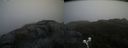 ./images/calvert/buxton2/20200520/buxton220200520_161002M.jpg