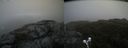 ./images/calvert/buxton2/20200520/buxton220200520_172002M.jpg