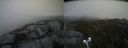 ./images/calvert/buxton2/20200521/buxton220200521_113503M.jpg