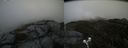 ./images/calvert/buxton2/20200521/buxton220200521_161503M.jpg