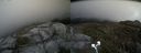 ./images/calvert/buxton2/20200521/buxton220200521_172502M.jpg